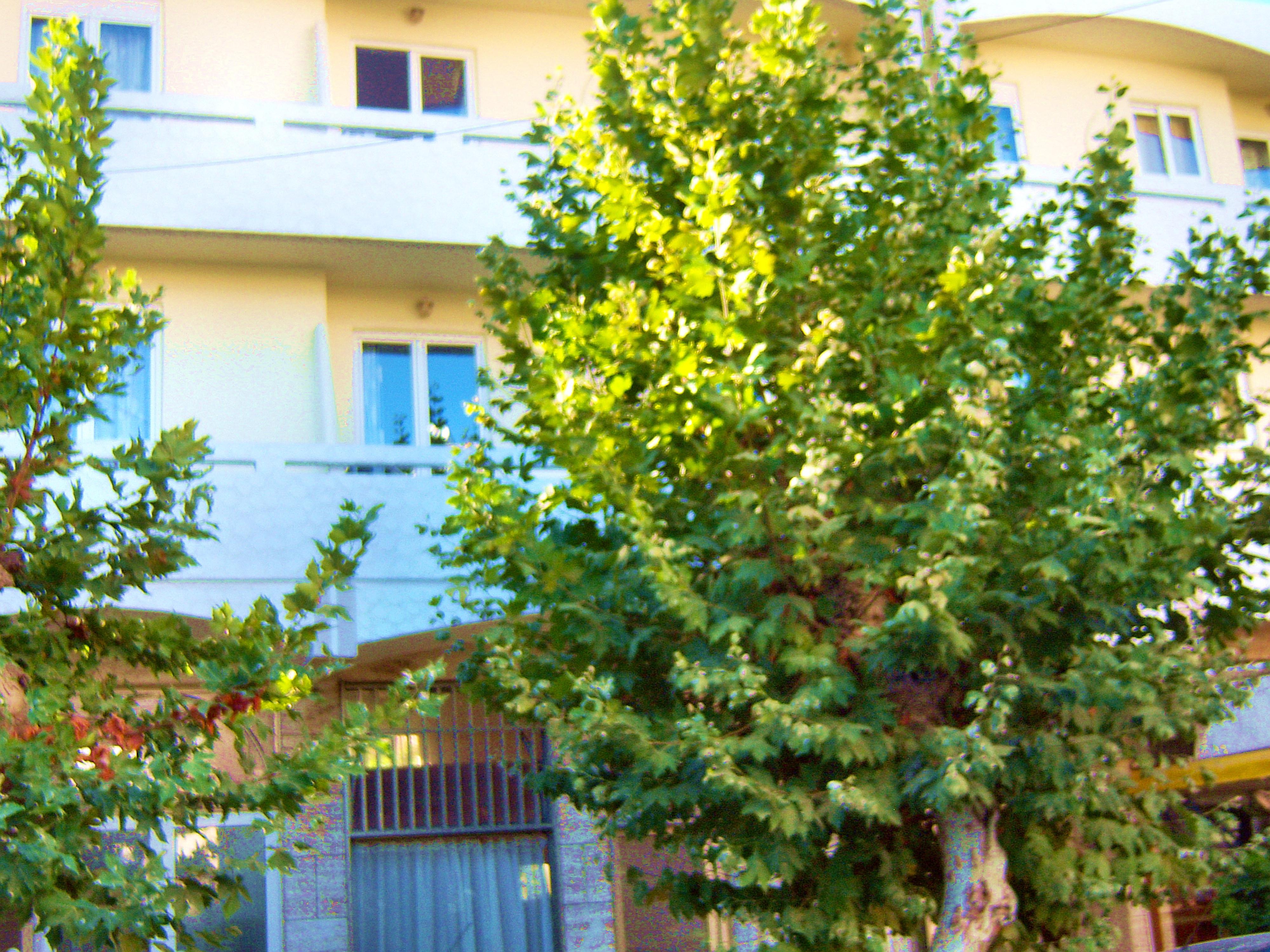 Fantasia Hotel Apartments Koszalin Eksteriør bilde
